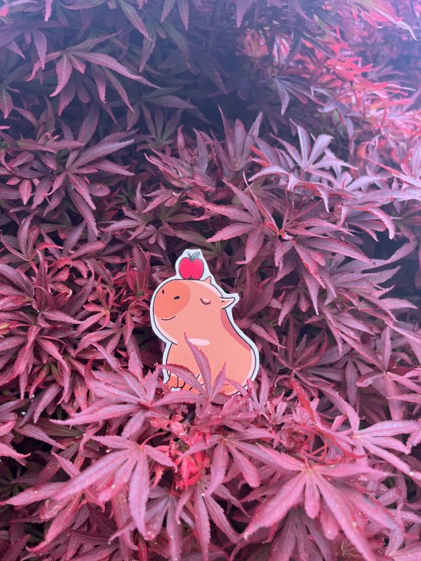 Apple Capybara - Image 2