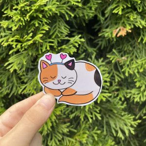 Sleeping Kitty