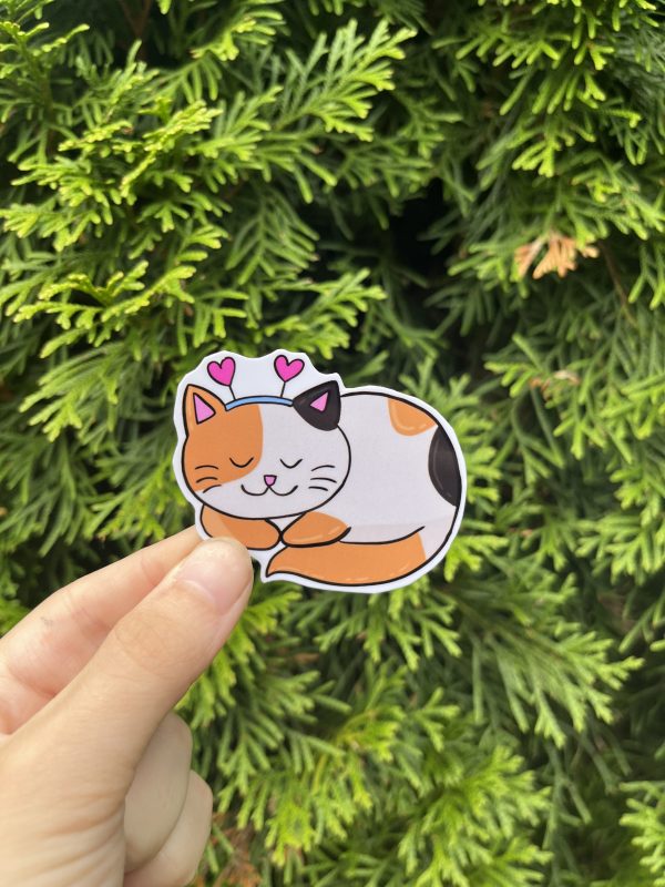 Sleeping Kitty