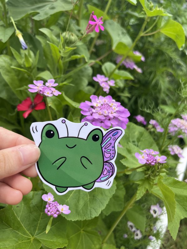 Butterfly Frog
