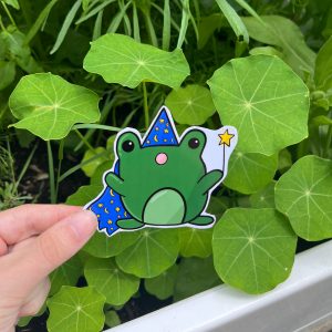 Wizard Frog